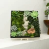 Moss Wall Kit -Ed's plant shop moss wall kit 828029