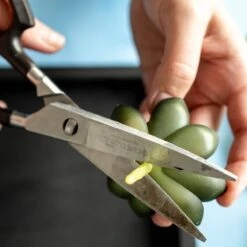 Moss Wall Kit -Ed's plant shop moss wall kit 879831