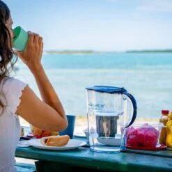 Nano Pitcher | Advanced Filtration Removes Bacteria & PFAS -Ed's plant shop nano pitcher advanced filtration removes bacteria pfas 923534