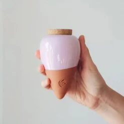 Olla Terracotta Self-Watering Pot | Efficient Plant Irrigation -Ed's plant shop olla terracotta self watering pot efficient plant irrigation 169973