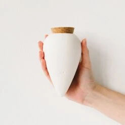 Olla Terracotta Self-Watering Pot | Efficient Plant Irrigation -Ed's plant shop olla terracotta self watering pot efficient plant irrigation 522128