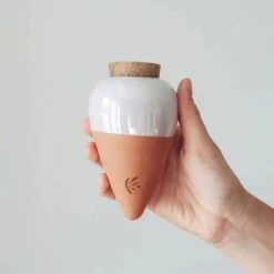 Olla Terracotta Self-Watering Pot | Efficient Plant Irrigation -Ed's plant shop olla terracotta self watering pot efficient plant irrigation 617980