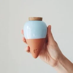 Olla Terracotta Self-Watering Pot | Efficient Plant Irrigation -Ed's plant shop olla terracotta self watering pot efficient plant irrigation 739204