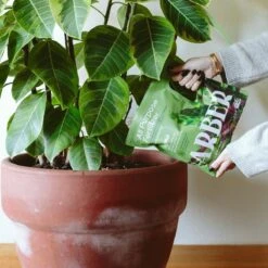 Organic All-Purpose Fertilizer – 3 Lbs | With Biochar For Lasting Results 13 Organic All-Purpose Fertilizer – 3 Lbs | With Biochar For Lasting Results -Ed's plant shop organic all purpose fertilizer 560760