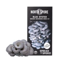 Organic Blue Oyster ‘Spray & Grow’ Mushroom Growing Kit -Ed's plant shop organic blue oyster spray grow mushroom growing kit 150453