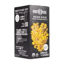 Organic Golden Oyster ‘Spray & Grow’ Mushroom Growing Kit -Ed's plant shop organic golden oyster spray grow mushroom growing kit 198940