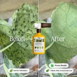 Organic Insecticide For Rose & Flower -Ed's plant shop organic insecticide for rose flower 6381514