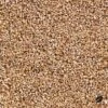 Organic Vermiculite: Lightweight Substrate For Houseplants -Ed's plant shop organic vermiculite lightweight substrate for houseplants 956508