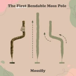 Original Bendable Moss Pole™ By Mossify (16"–54") | Flexible Plant Support -Ed's plant shop original bendable moss pole by mossify 1654 flexible plant support 5637810
