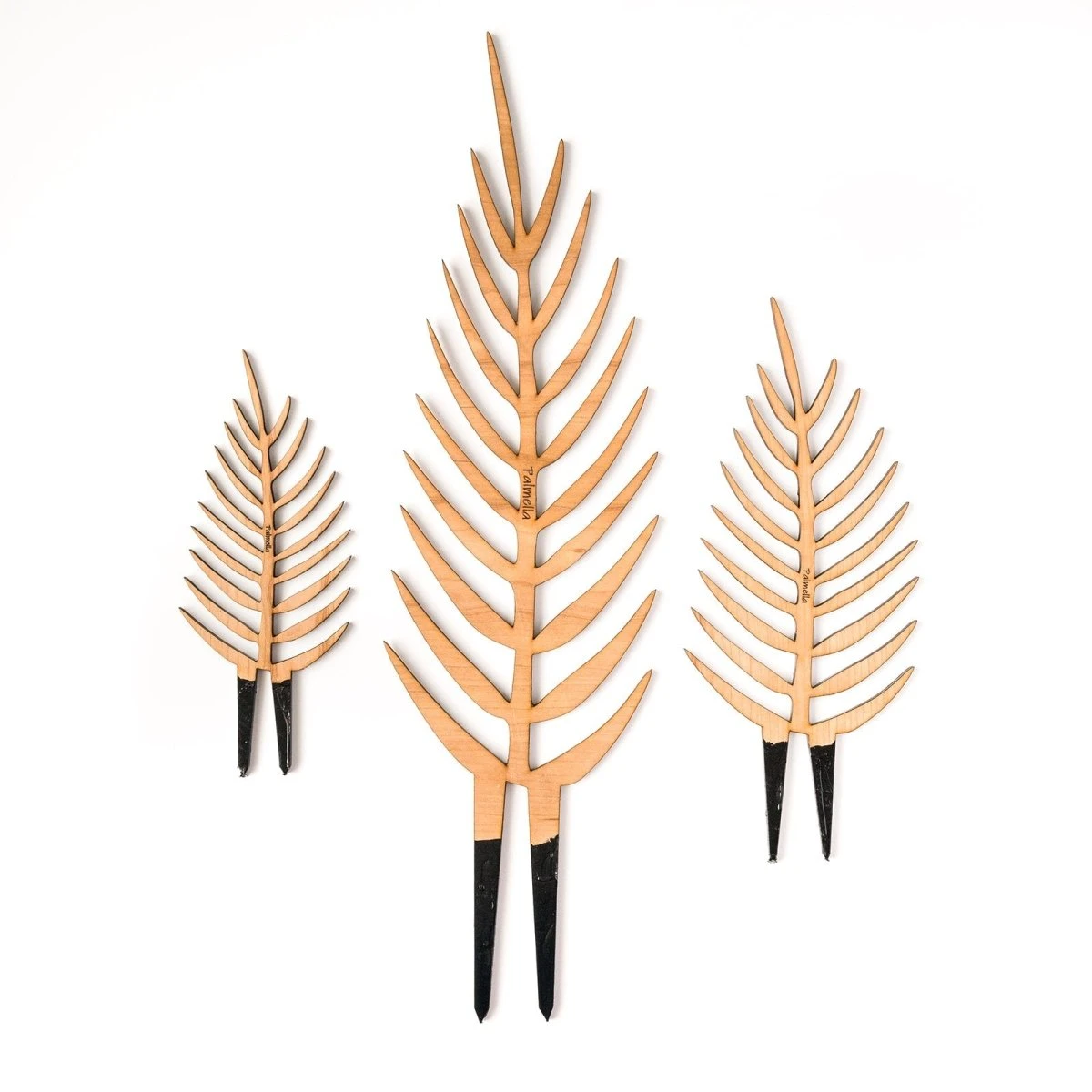 Palmella - Plant Support & Trellis 12 Palmella - Plant Support & Trellis - Image 10