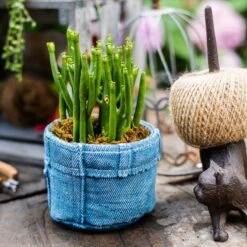 Pants For Plants – Blue Jeans Cement Planter With Drainage Hole -Ed's plant shop pants for plants blue jeans cement planter with drainage hole 287731