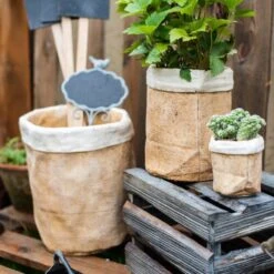 Paper Bag Style Concrete Garden Planter With Drainage – 3 Sizes -Ed's plant shop paper bag style concrete garden planter with drainage 3 sizes 329855