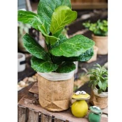 Paper Bag Style Concrete Garden Planter With Drainage – 3 Sizes -Ed's plant shop paper bag style concrete garden planter with drainage 3 sizes 355104