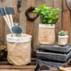 Paper Bag Style Concrete Garden Planter With Drainage – 3 Sizes -Ed's plant shop paper bag style concrete garden planter with drainage 3 sizes 699877