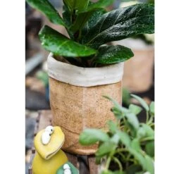 Paper Bag Style Concrete Garden Planter With Drainage – 3 Sizes -Ed's plant shop paper bag style concrete garden planter with drainage 3 sizes 922746