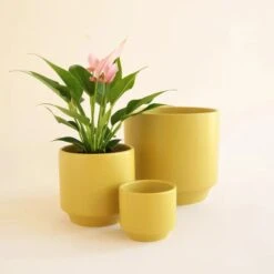Parker Planter Pot | Palm Speckle -Ed's plant shop parker planter pot palm speckle 731341