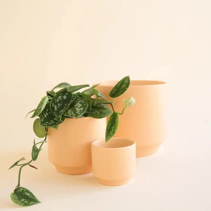 Parker Planter Pot | Sunset Speckle 5 Parker Planter Pot | Sunset Speckle - Image 3
