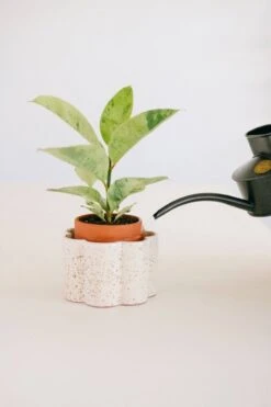 Paula Self-Watering Planter Pot – Speckled White 12 Paula Self-Watering Planter Pot – Speckled White -Ed's plant shop paula self watering planter pot speckled white 2768495