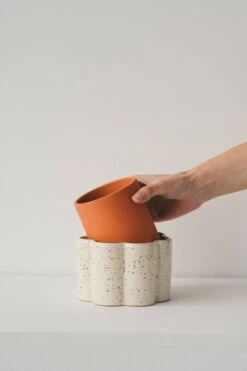 Paula Self-Watering Planter Pot – Speckled White 10 Paula Self-Watering Planter Pot – Speckled White -Ed's plant shop paula self watering planter pot speckled white 9049586