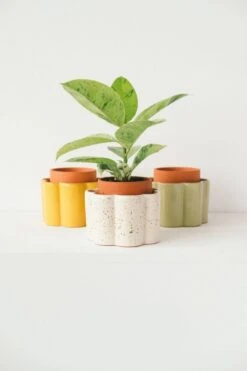 Paula Self-Watering Planter Pot – Speckled White 13 Paula Self-Watering Planter Pot – Speckled White -Ed's plant shop paula self watering planter pot speckled white 9206761