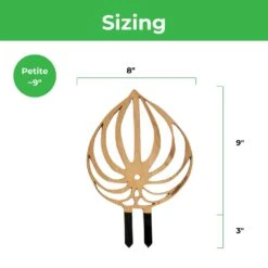 Peptrella - Peperomia Inspired Plant Trellis -Ed's plant shop peptrella peperomia inspired plant trellis 477090