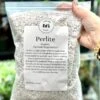 Perlite For Houseplants - Improve Soil Aeration And Drainage -Ed's plant shop perlite for houseplants improve soil aeration and drainage 145806