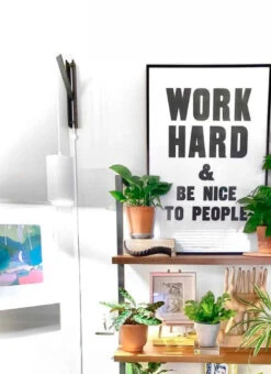 Pinocchio - Adjustable Wall Mount - Various Colors Available -Ed's plant shop pinocchio adjustable wall mount various colors available 555768