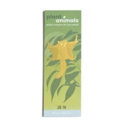 Plant Animal - Flying Squirrel -Ed's plant shop plant animal flying squirrel 488405