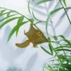 Plant Animal - Flying Squirrel 2 Plant Animal - Flying Squirrel -Ed's plant shop plant animal flying squirrel 790405