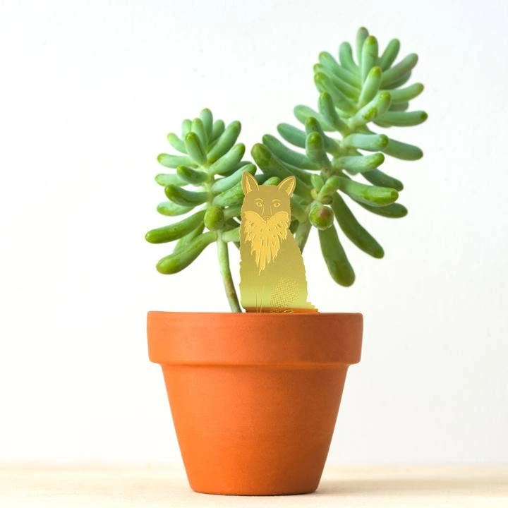 Plant Animal - Fox 4 Plant Animal - Fox - Image 2