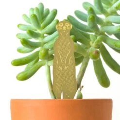 Plant Animal - Meerkat -Ed's plant shop plant animal meerkat 318966