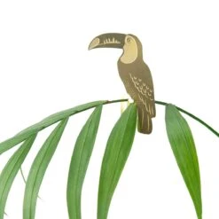 Plant Animal - Toucan -Ed's plant shop plant animal toucan 266978