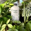 Plant Juice - The Best Houseplant Fertilizer For Happy, Hungry Plants -Ed's plant shop plant juice 661222
