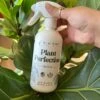 Plant Perfection - Leaf Shine For Houseplants -Ed's plant shop plant perfection leaf shine for houseplants 633354