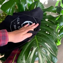 Plant Perfection - Leaf Shine For Houseplants -Ed's plant shop plant perfection leaf shine for houseplants 666807