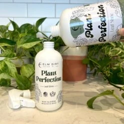 Plant Perfection - Leaf Shine For Houseplants -Ed's plant shop plant perfection leaf shine for houseplants 941196