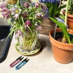 Plant Snips -Ed's plant shop plant snips 340310