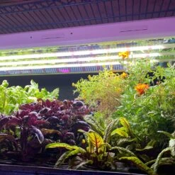 Plug & Play 4' LED Grow Lamp – T5 HO Sun White Pro Spectrum -Ed's plant shop plug play 4 led grow lamp t5 ho sun white pro spectrum 860779