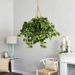 36-in Pothos Hanging Basket UV Resistant - Indoor/Outdoor (36″H × 30″W) -Ed's plant shop pothos hanging basket uv resistant indooroutdoor 36h 30w 4428335