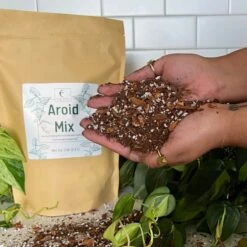 Premium Aroid Potting Mix – Nutrient-Rich Soil For Healthy Growth -Ed's plant shop premium aroid potting mix nutrient rich soil for healthy growth 414218