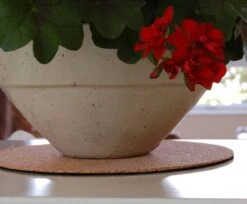 Premium Eco Cork Mat – 5 Sizes | USA-Made Renewable Cork 18 Premium Eco Cork Mat – 5 Sizes | USA-Made Renewable Cork -Ed's plant shop premium eco cork mat 5 sizes usa made renewable cork 4172047