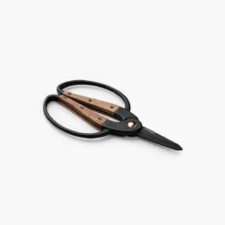 Barebones Premium Garden Scissors – Style Meets Performance -Ed's plant shop premium garden scissors 440767