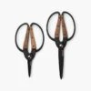Barebones Premium Garden Scissors – Style Meets Performance 1 Barebones Premium Garden Scissors – Style Meets Performance -Ed's plant shop premium garden scissors 634981