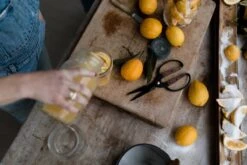 Barebones Premium Garden Scissors – Style Meets Performance -Ed's plant shop premium garden scissors 639116