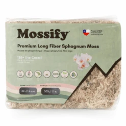 Premium Long Fiber Sphagnum Moss – Orchid & Kokedama Substrate (150g) 23 Premium Long Fiber Sphagnum Moss – Orchid & Kokedama Substrate (150g) -Ed's plant shop premium long fiber sphagnum moss orchid kokedama substrate 150g 1421442