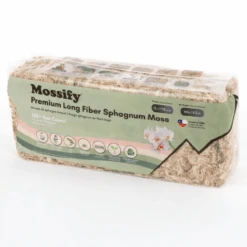 Premium Long Fiber Sphagnum Moss – Orchid & Kokedama Substrate (150g) 26 Premium Long Fiber Sphagnum Moss – Orchid & Kokedama Substrate (150g) -Ed's plant shop premium long fiber sphagnum moss orchid kokedama substrate 150g 4348538