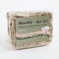 Premium Long Fiber Sphagnum Moss – Orchid & Kokedama Substrate (150g) 21 Premium Long Fiber Sphagnum Moss – Orchid & Kokedama Substrate (150g) -Ed's plant shop premium long fiber sphagnum moss orchid kokedama substrate 150g 4665517