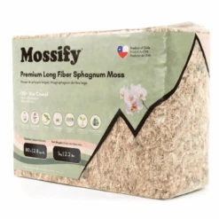 Premium Long Fiber Sphagnum Moss – Orchid & Kokedama Substrate (150g) 29 Premium Long Fiber Sphagnum Moss – Orchid & Kokedama Substrate (150g) -Ed's plant shop premium long fiber sphagnum moss orchid kokedama substrate 150g 5129527