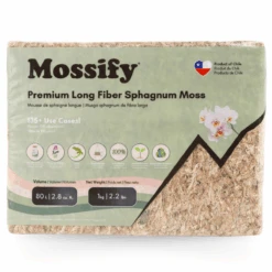 Premium Long Fiber Sphagnum Moss – Orchid & Kokedama Substrate (150g) 24 Premium Long Fiber Sphagnum Moss – Orchid & Kokedama Substrate (150g) -Ed's plant shop premium long fiber sphagnum moss orchid kokedama substrate 150g 5239914