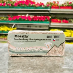 Premium Long Fiber Sphagnum Moss – Orchid & Kokedama Substrate (150g) 22 Premium Long Fiber Sphagnum Moss – Orchid & Kokedama Substrate (150g) -Ed's plant shop premium long fiber sphagnum moss orchid kokedama substrate 150g 5538930